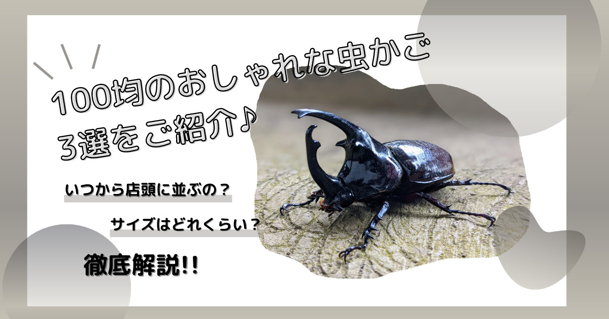 虫かごもおしゃれに100均で揃う 売り出す時期や大きいサイズも紹介 たむログ道しるべ